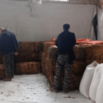 Polícia Civil realiza operação em combate ao furto de fardos de tabaco na região