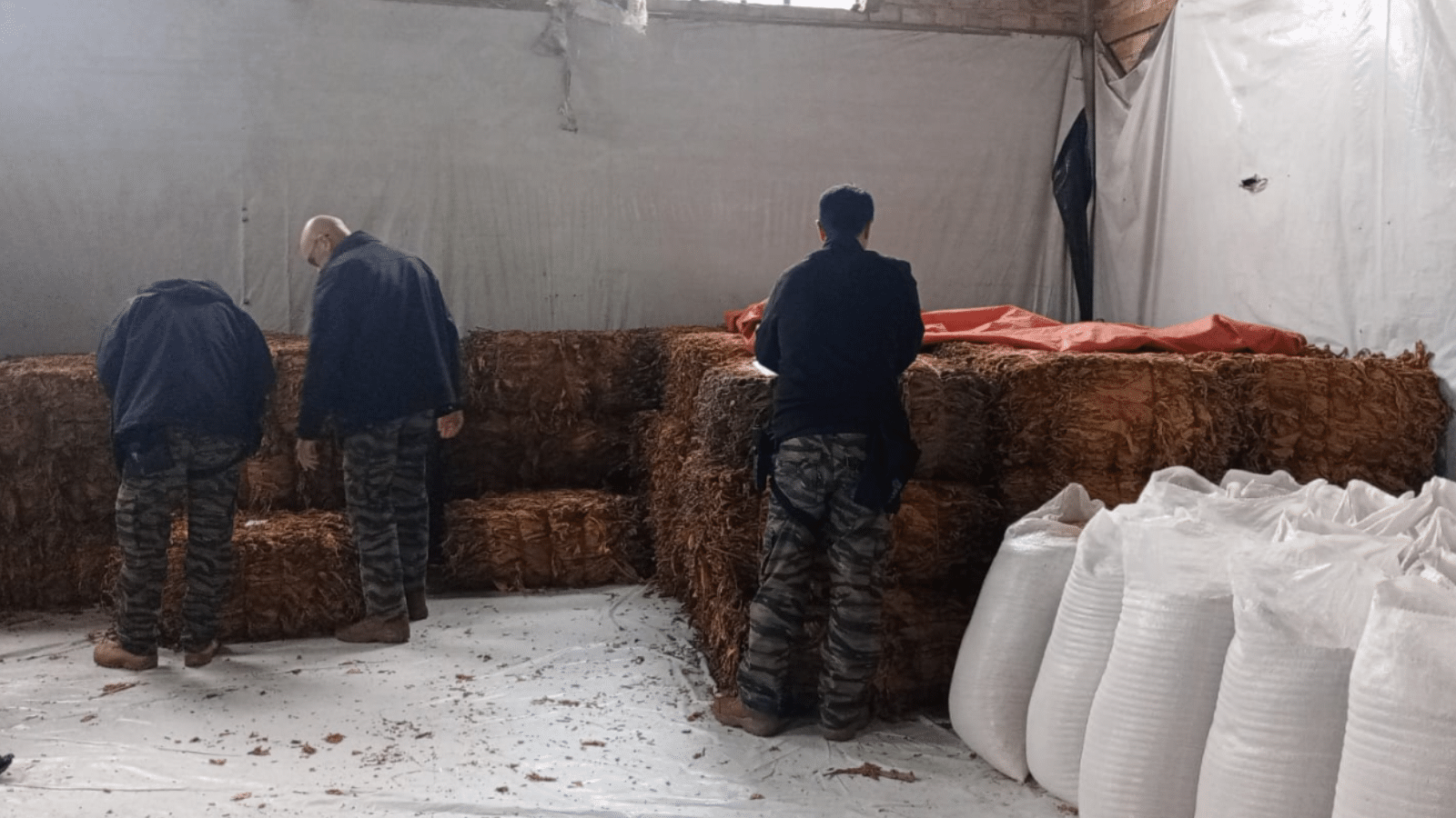 Polícia Civil realiza operação em combate ao furto de fardos de tabaco na região