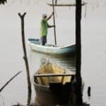 Ministério da Pesca e Aquicultura alerta para tentativas de golpes envolvendo carteirinha de pescador