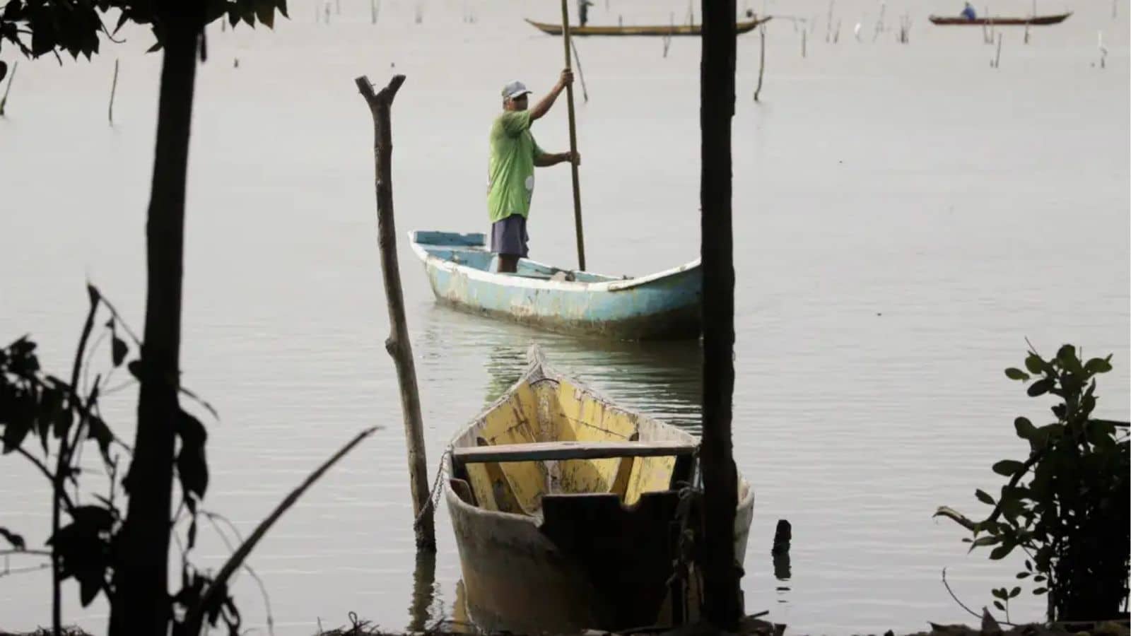 Ministério da Pesca e Aquicultura alerta para tentativas de golpes envolvendo carteirinha de pescador