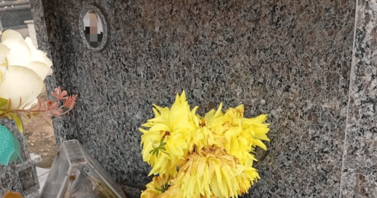 Cerca de 200 túmulos são furtados em cemitério do interior de Camaquã