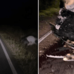 Caminhonete fica destruída colisão com bovino em Dom Pedrito