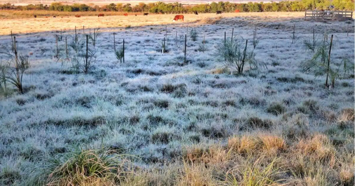 Previsão do tempo: frente fria derruba temperaturas na Costa Doce