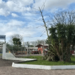 Professora é atacada por aluno com golpes de facão no RS