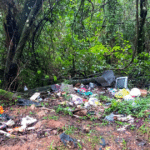 Descarte irregular de lixo no bairro Vila Nova vira criadouro do mosquito da dengue em Camaquã