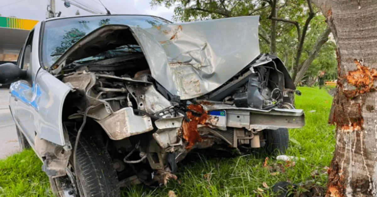 Após colisão contra árvore, carro destruído é abandonado em Pelotas