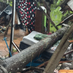 Menino de sete anos morre após árvore cair sobre casa em Porto Alegre