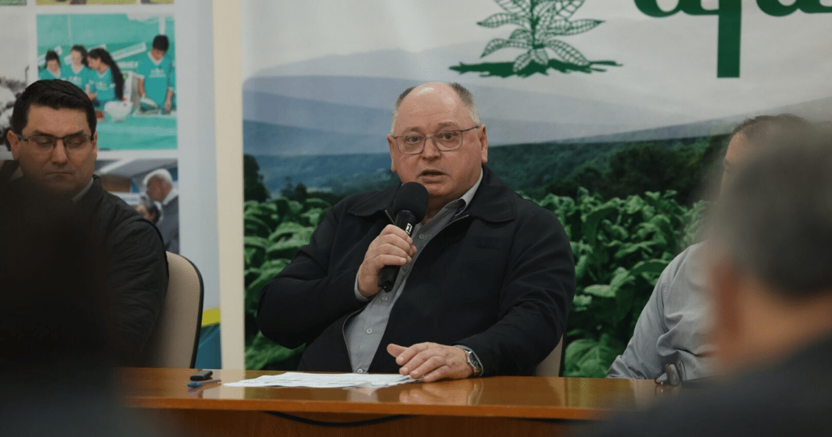 Afubra alerta para crise na comercialização do tabaco após divulgação da safra