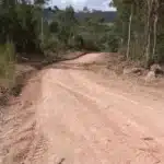 Estrada é bloqueada e muda o trânsito em Dom Feliciano