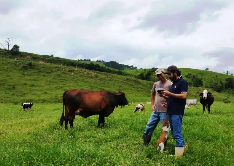 Reunião estratégica alinha Curso de Gestão Rural em Dom Feliciano
