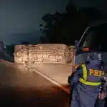 Van com universitários do IFSul e UFPel tomba na BR-392