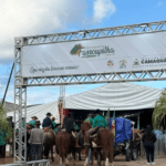 Baile com Grupo Porteira do Pago acontece neste sábado (19) no 1º Acampamento Farroupilha de Camaquã