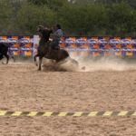 Acampamento Farroupilha de Camaquã terá rodeio, desfile e baile neste fim de semana