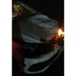 BR-116: carro fica destruído após colidir com animais em Camaquã