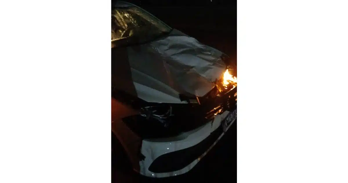BR-116: carro fica destruído após colidir com animais em Camaquã