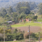 URGENTE: Homem é esfaqueado em tentativa de homicídio no Bonito, interior de Camaquã