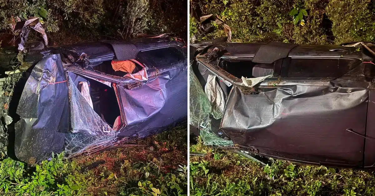 Carro fica destruído ao colidir com capivara na BR-116