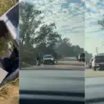 Colisão deixa uma pessoa ferida na ERS-350 em Arambaré