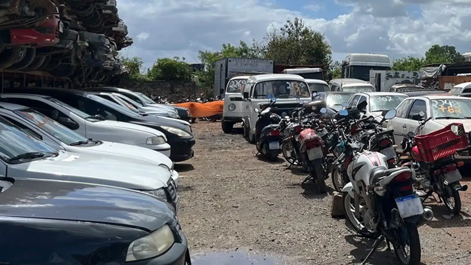 Detran-RS realiza leilão com 317 veículos próprios para circular