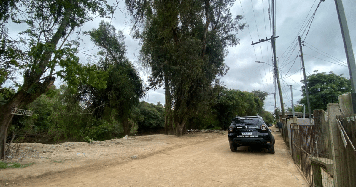 Árvores gigantescas ameaçam casas e fiação no bairro Getúlio Vargas, em Camaquã