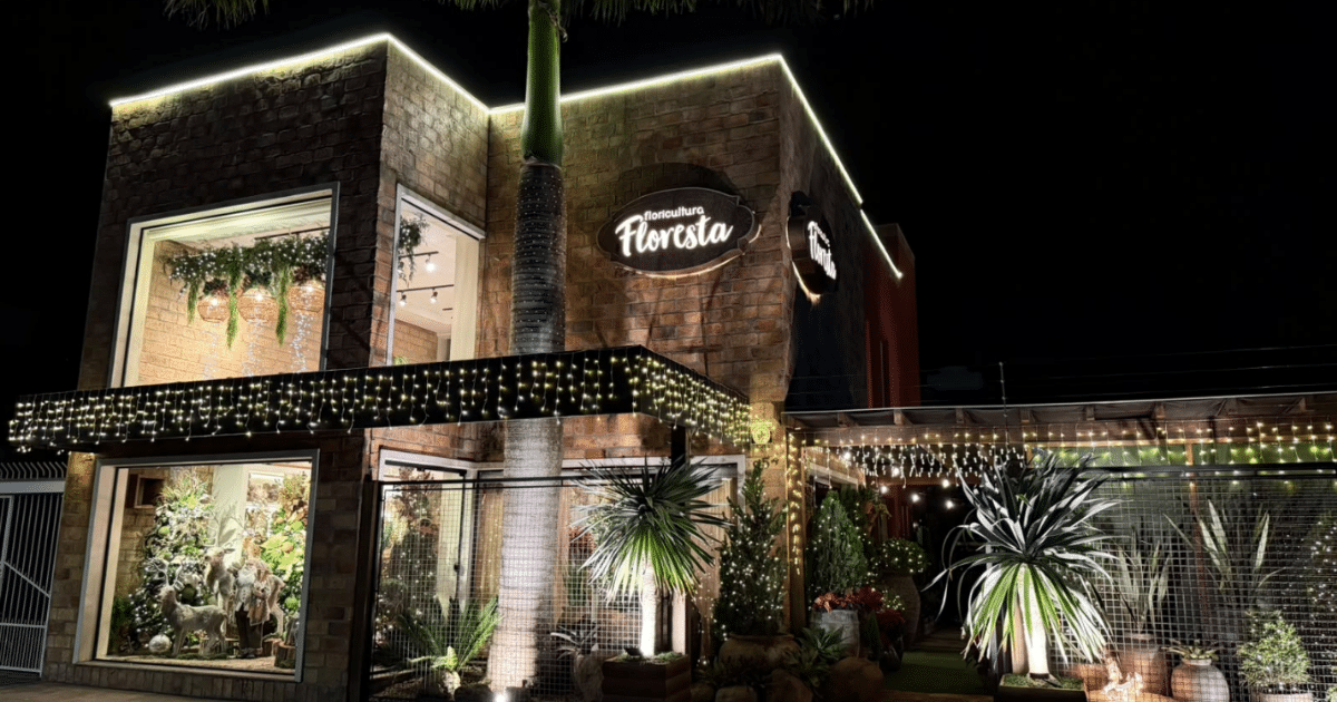 Após acendimento das luzes, Floricultura Floresta começa contagem regressiva para o Showroom de Natal