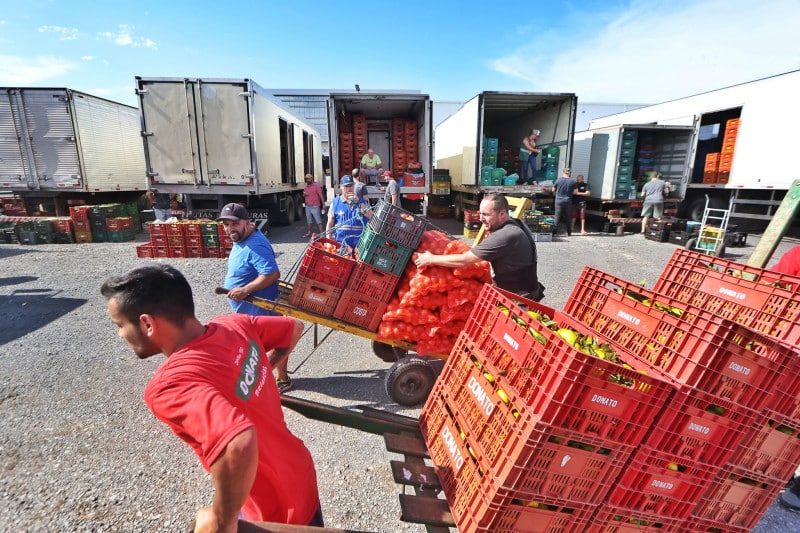 Reativação da Ceasa ajuda a normalizar abastecimento de alimentos