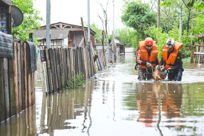 Foto: Giulian Serafim/Divulgação/PMPA