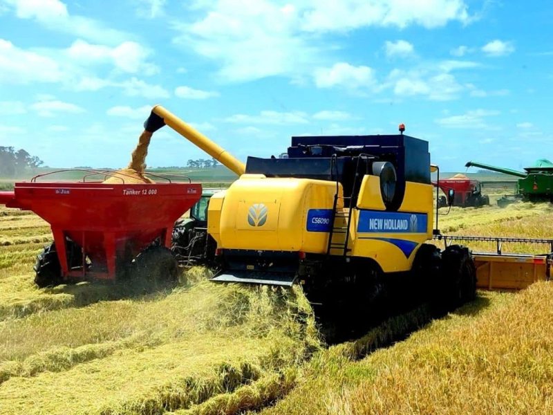 Rio Grande do Sul é o terceiro maior produtor de grãos do país, aponta Conab