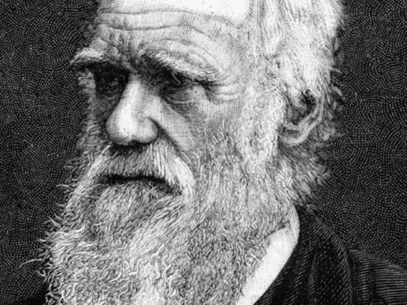 Hoje na História: 27 de dezembro – Charles Darwin parte para épica viagem a bordo do HMS Beagle