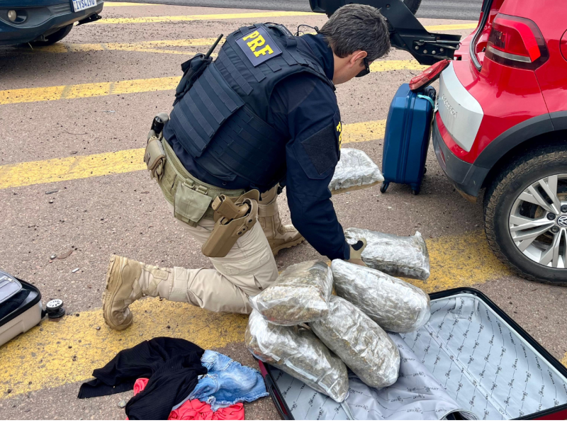 PRF prende mulher transportando skunk em carro de aplicativo