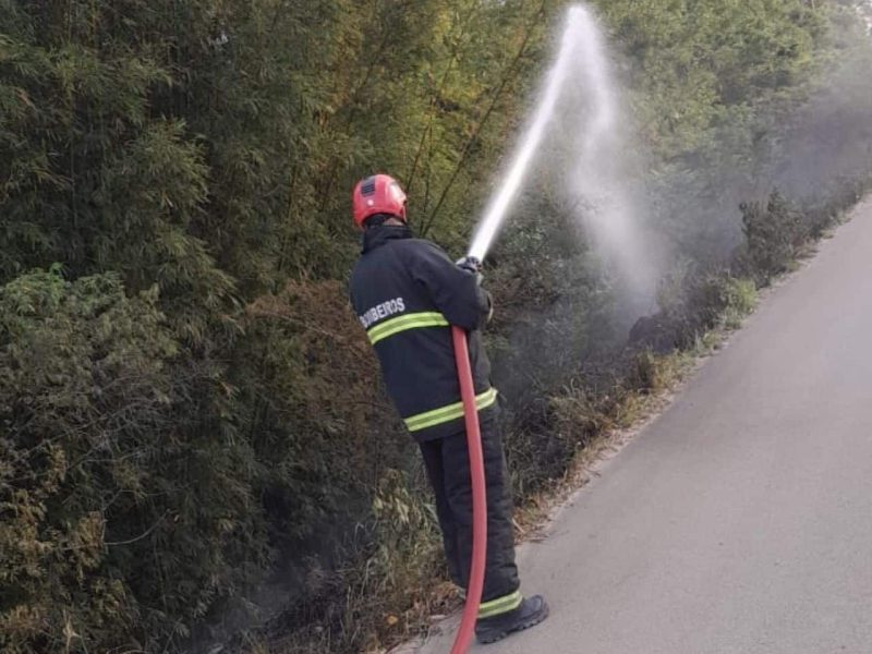 Bombeiros combatem incêndio em vegetação na BR-116