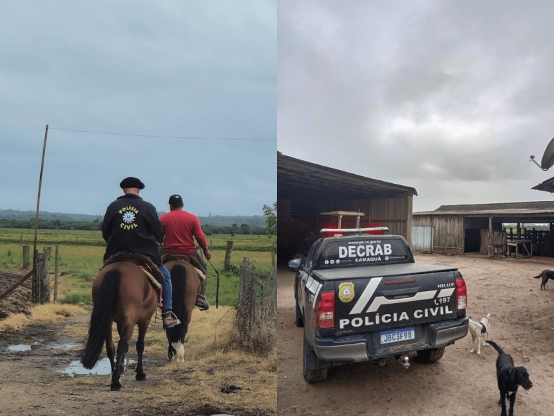 Fazenda é alvo de operação contra abate clandestino em Tapes. Foto: Divulgação | PC