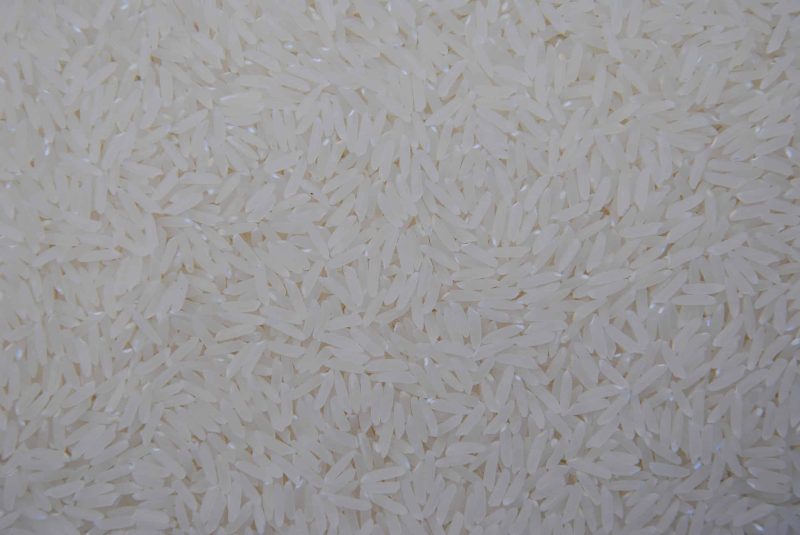 Enchentes no RS: Conab é autorizada a importar arroz