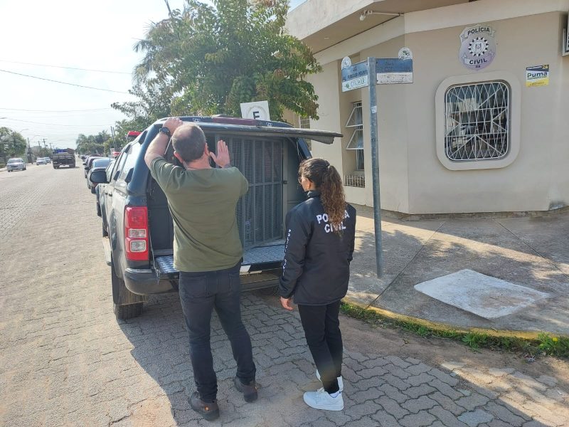 Foto: Divulgação | Polícia Civil