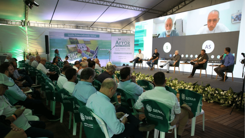 Temas estratégicos para a cadeia do arroz estarão em pauta na Abertura da Colheita