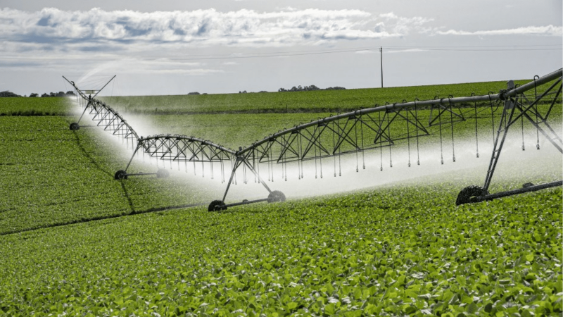 Estado abre edital de seleção para Programa de Irrigação, que vai ajudar na mitigação da estiagem