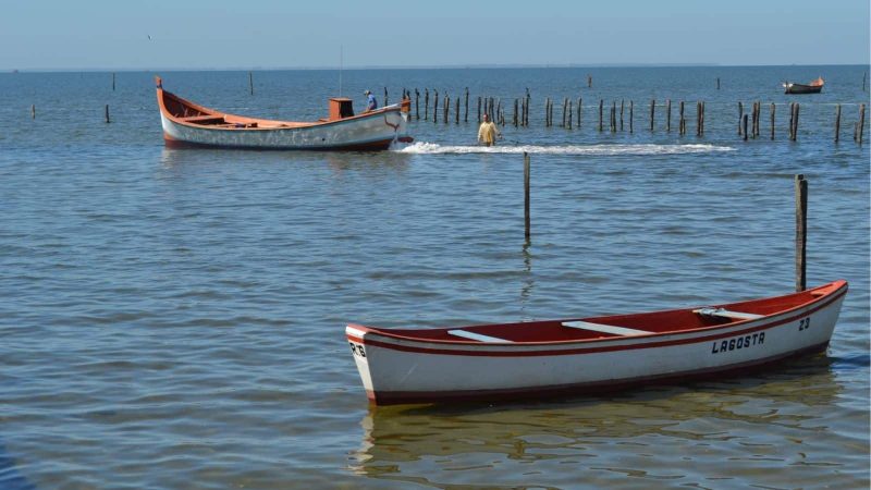 Foto: Prefeitura de Pelotas - Janine Tomberg/Arquivo