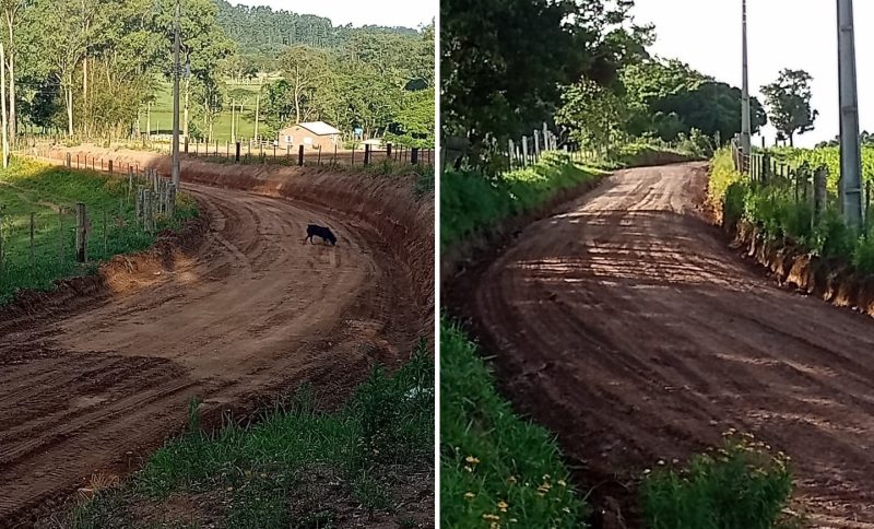 Foto: Prefeitura de Dom Feliciano / Divulgação