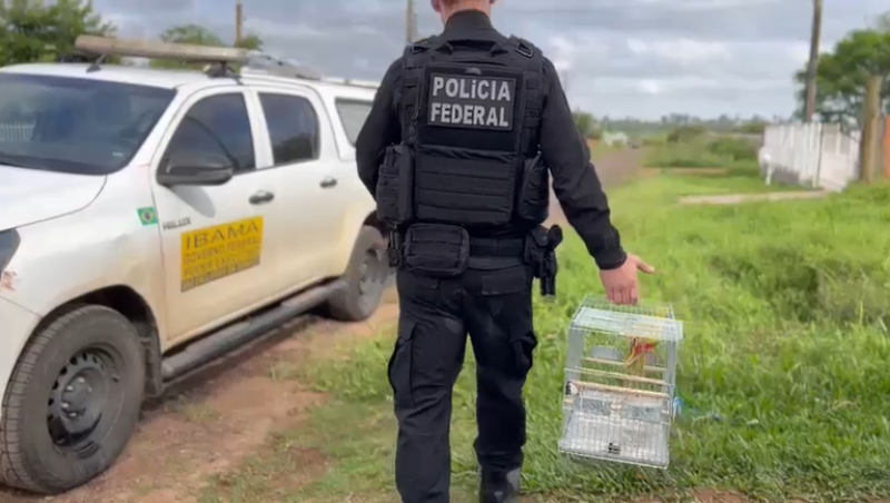 Foto: Polícia Federal