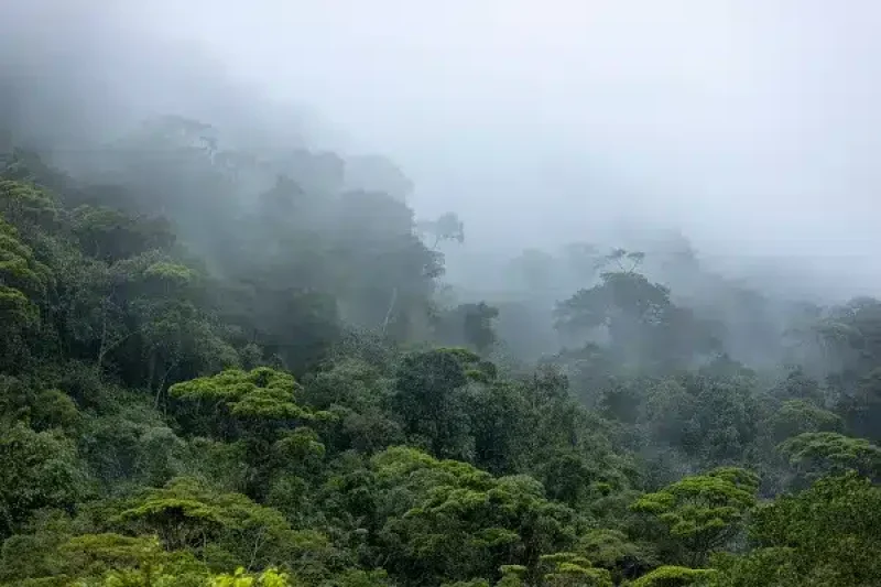 Previsão do tempo: Camaquã registra muita umidade e calor nesta terça