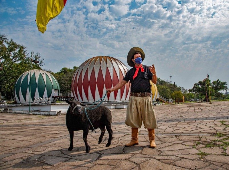 Presença de ovinos na Expointer 2021 vai superar a edição de 2019, a última antes da pandemia - Foto: Fernando Dias