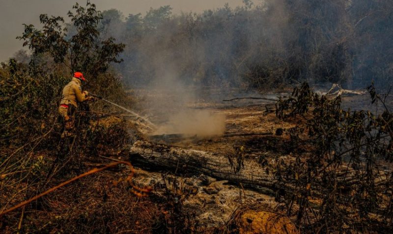 Área destruída já se aproxima de 265 mil e 300 hectares. Foto: Mayke Toscano/Secom-MT