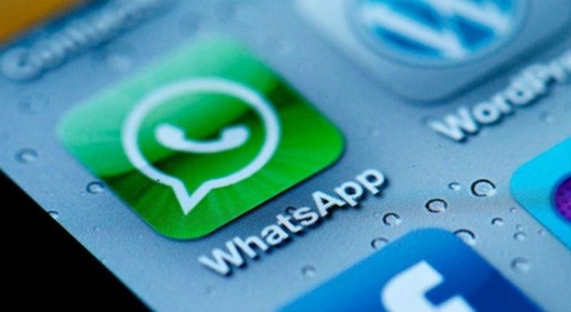 WhatsApp se tornou a principal ferramenta de diálogo online. Foto: Divulgação