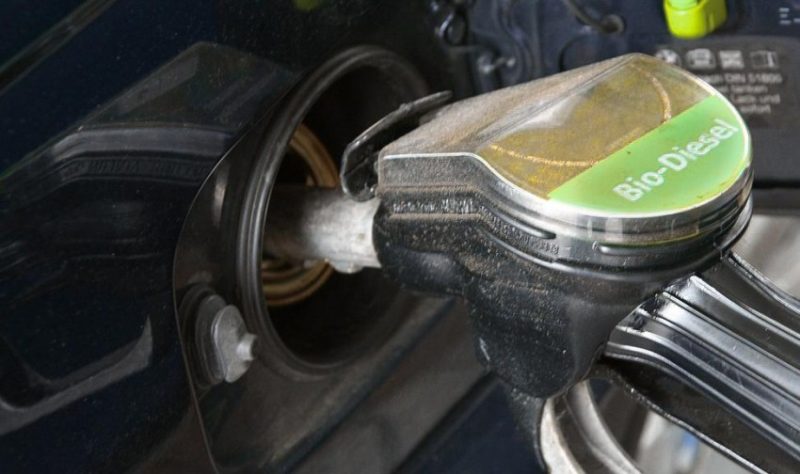 A mudança vale para o 82º Leilão de Biodiesel. Foto: Pixabay