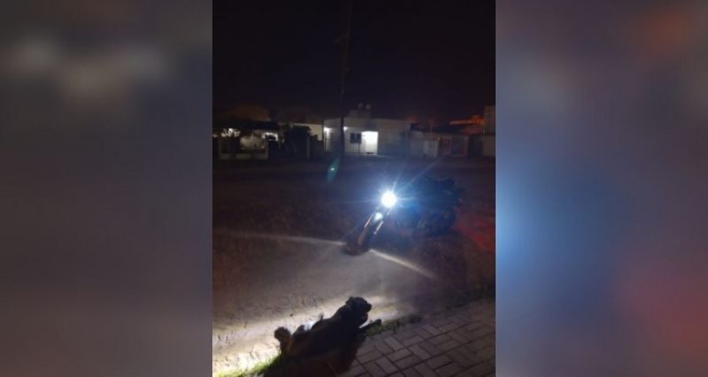 Foi necessário utilizar a luz do farol da moto, para poder atender o animal. Fotos: Ouvinte/Acústica FM