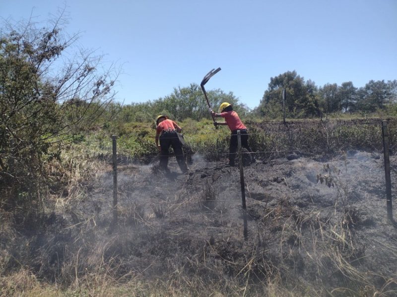 Profissionais atuaram na manhã de hoje para conter o incêndio. Fotos: Divulgação