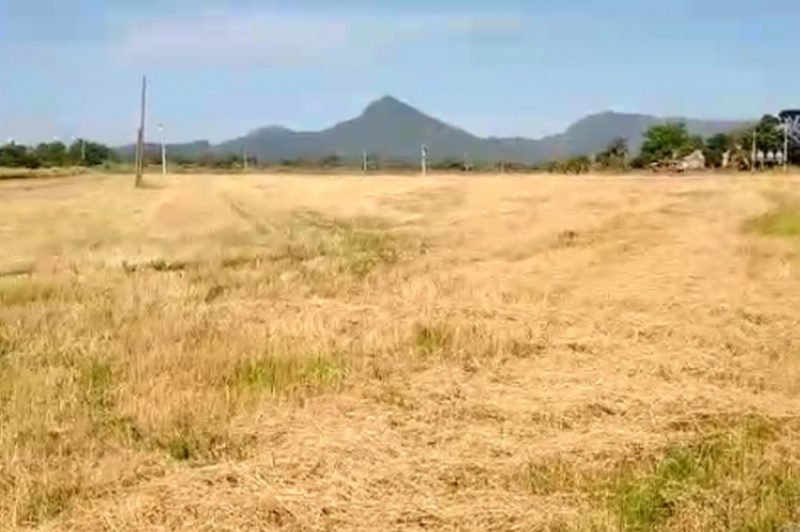 Foto: Arquivo Pessoal/Divulgação