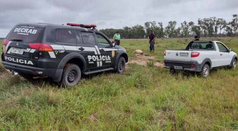 Foto: Divulgação