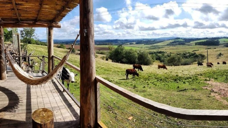 Foto: Divulgação /Redes Sociais/Sítio Galpãozinho