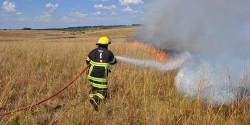 Foto:  Divulgação /Ascom